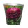 NOUVEAUTÉ: Cache-pot "Dahlia" PM