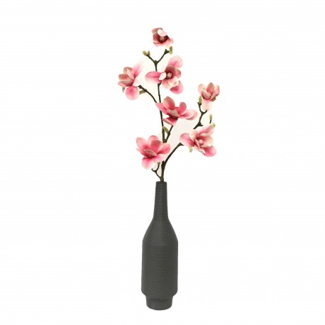 Branche de Magnolia - 7 Fleurs