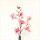 Branche de Magnolia - 7 Fleurs